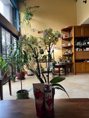 Bath & Body Works Japanese Cherry Blossom